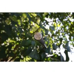 Nash Entity 12ft 3.00lbs Full Shrink -Vissen Winkel 4324471Nash Entity 12ft 3 00lbs Full Shrink 2