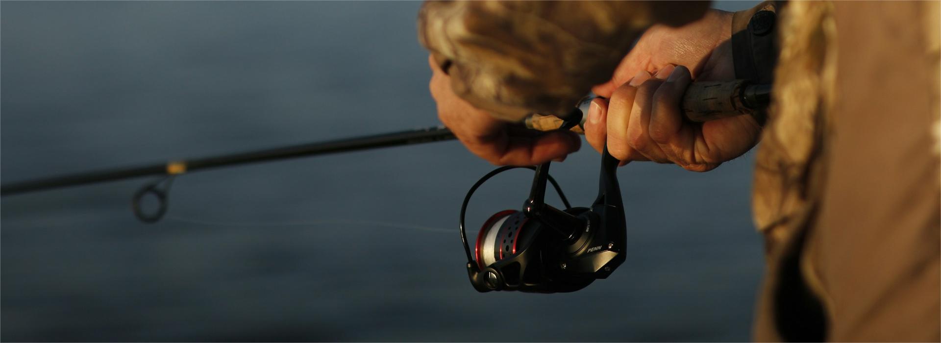 Vissen Winkel -Vissen Winkel rex roberts va5eYDXzqag unsplash